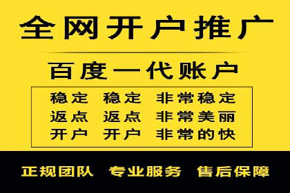 SEM推广技巧：成功案例深度剖析